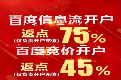 百度搜索优化：成功案例分析及策略解析